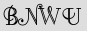 Security Captcha